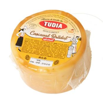 Shield Conditioner