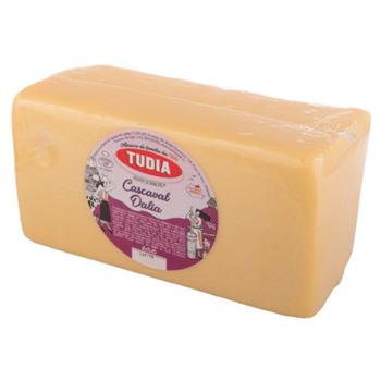 Shield Conditioner