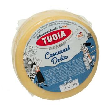 Shield Conditioner